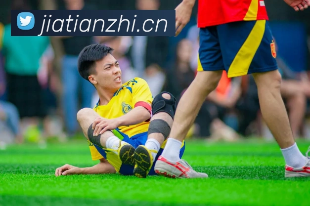 九游j9官网网页版入口平台生态图