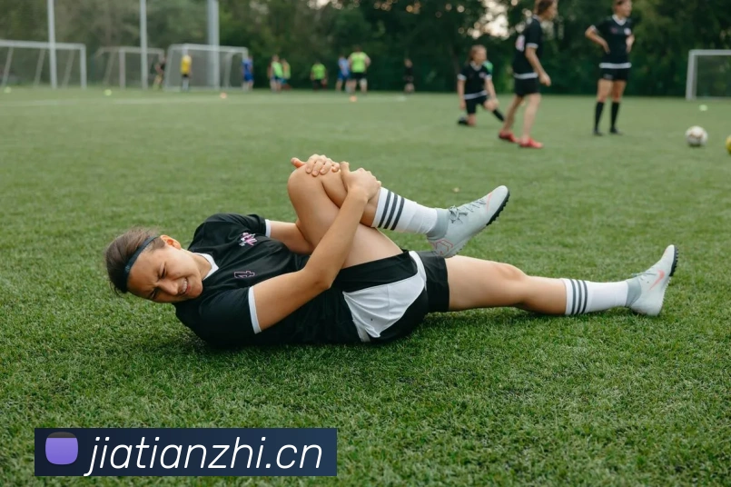 九游j9官网网页版入口APP 封面图